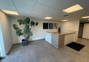 456513-Vorschaubild2