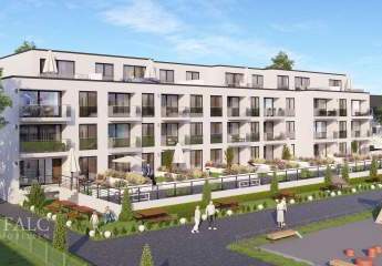 478129-Vorschaubild4