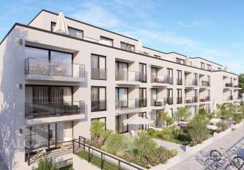 478135-Vorschaubild2