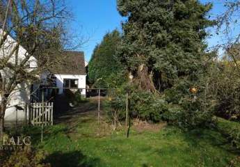 461379-Vorschaubild3