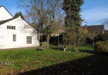 461379-Vorschaubild4