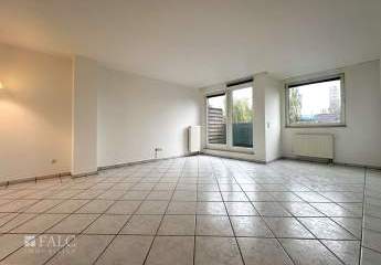 449702-Vorschaubild4