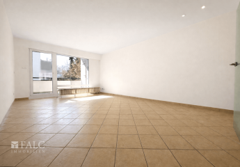 477740-Vorschaubild2