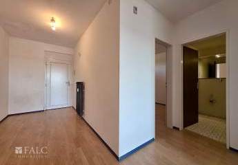 450156-Vorschaubild3