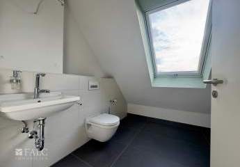 456019-Vorschaubild4