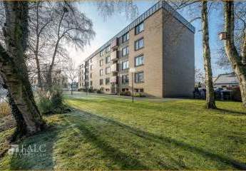 450364-Vorschaubild3