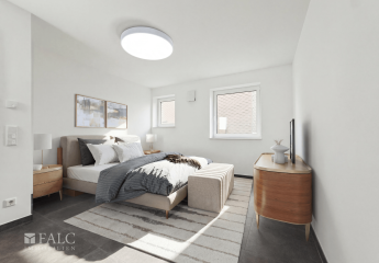 475217-Vorschaubild3