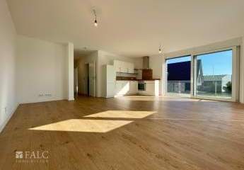 475989-Vorschaubild2