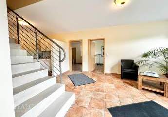 478215-Vorschaubild3