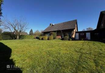 478662-Vorschaubild3