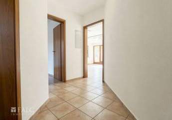 479204-Vorschaubild3