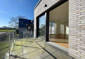 480997-Vorschaubild4