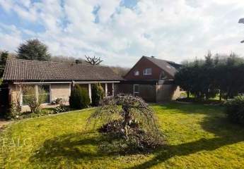 481017-Vorschaubild2