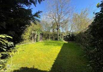 484728-Vorschaubild3