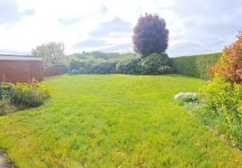 485810-Vorschaubild3