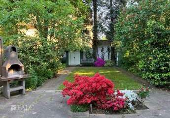 457085-Vorschaubild3