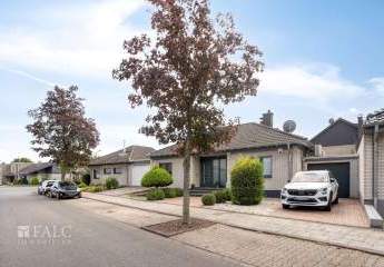 449925-Vorschaubild2