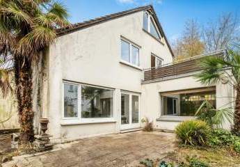 454167-Vorschaubild3