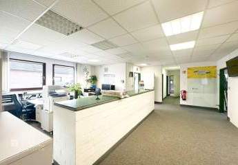 463469-Vorschaubild4