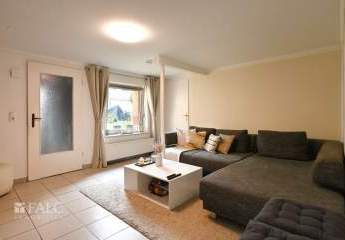 440471-Vorschaubild4