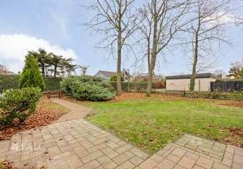 466224-Vorschaubild3