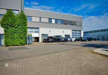 442682-Vorschaubild3