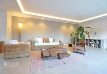 473242-Vorschaubild4