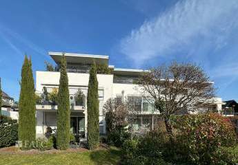 481917-Vorschaubild2