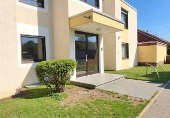 482726-Vorschaubild2