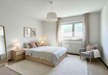 484697-Vorschaubild4