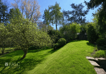 486405-Vorschaubild2