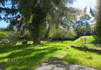 486405-Vorschaubild3