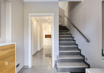 451535-Vorschaubild3