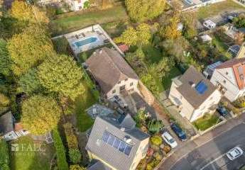 455964-Vorschaubild4