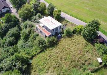 451373-Vorschaubild3