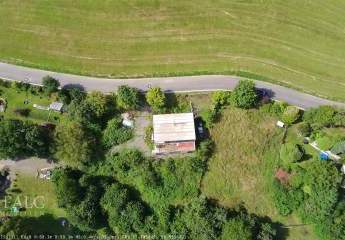 451373-Vorschaubild4