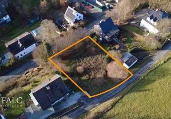 462296-Vorschaubild4