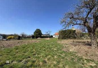 416254-Vorschaubild4