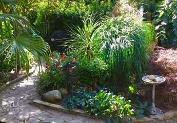 475243-Vorschaubild3