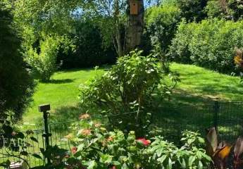 475243-Vorschaubild4