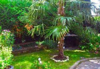 475243-Vorschaubild2