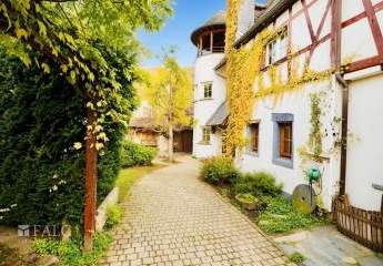 458439-Vorschaubild3