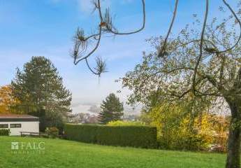 477923-Vorschaubild3