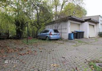 478813-Vorschaubild4