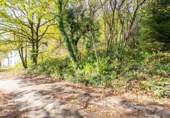 453537-Vorschaubild2