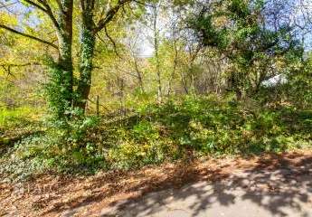 453537-Vorschaubild4