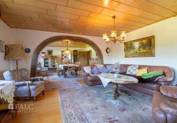 451113-Vorschaubild4