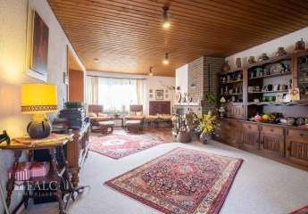 481003-Vorschaubild2