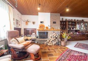 481003-Vorschaubild3