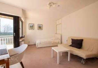 484671-Vorschaubild2